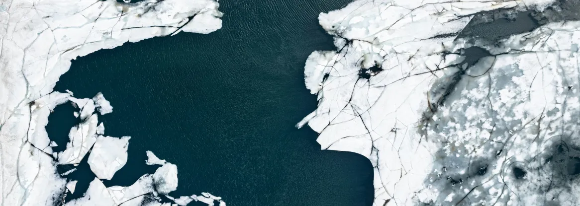 sea ice sea ice