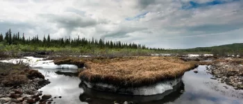 Photo of permafrost in Alaska Photo of permafrost in Alaska