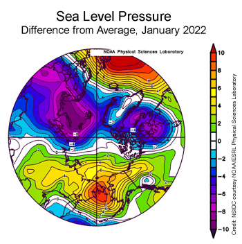 Figure 2c. This plot shows the departure from average sea level pressure in the Arctic at the 925 hPa level, in degrees Celsius, for January 2022. Yellows and reds indicate higher than average air pressures; blues and purples indicate lower than average air pressures.||Credit: NSIDC courtesy NOAA Earth System Research Laboratory Physical Sciences Laboratory| High-resolution image