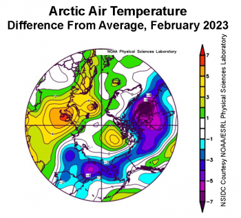 Figure 2b. This plot shows the departure from average air temperature in the Arctic at the 925 hPa level, in degrees Celsius, for February 2023. Yellows and reds indicate higher than average temperatures; blues and purples indicate lower than average temperatures. ||Credit: NSIDC courtesy NOAA Earth System Research Laboratory Physical Sciences Laboratory|High-resolution image