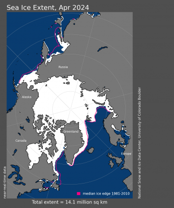 Figure 1a. Arctic sea ice extent for April 2024 was 14.12 million square kilometers (5.45 million square miles). The magenta line shows the 1981 to 2010 average extent for that month. Sea Ice Index data. About the data||Credit: National Snow and Ice Data Center|High-resolution image