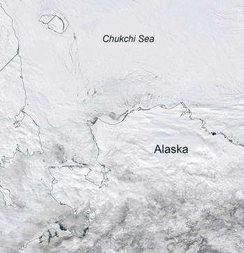 Figure 2d. In April, strong offshore winds over the northwest coast of Alaska led to openings in the ice cover, called polynyas. This animation (click to see animation) shows the polynyas that formed in the Chukchi Sea from April 12 to 30, 2022. ||Credit: Agnieszka Gautier, National Snow and Ice Data Center|High-resolution image