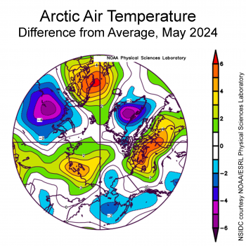 air temp plot for Arctic May 2024