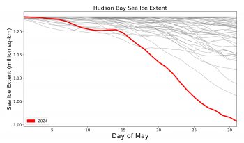 Figure 4b. This graph shows sea ice extent in Hudson Bay for May 2024 in red and all previous years in grey since 1979, when the satellite record began. ||Credit: National Snow and Ice Data Center|High-resolution image