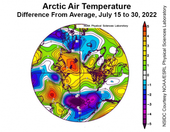 Figure 2b. This plot shows the departure from average air temperature, relative to the 1981 to 2020 reference period, in the Arctic at the 925 hPa level, in degrees Celsius, from July 15 to July 30, 2022. Yellows and reds indicate higher than average temperatures; blues and purples indicate lower than average temperatures. ||Credit: NSIDC courtesy NOAA Earth System Research Laboratory Physical Sciences Laboratory|High-resolution image