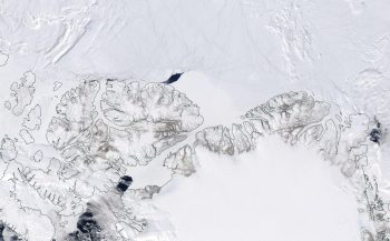 Figure 4. This NASA Moderate Resolution Imaging Spectroradiometer (MODIS) image from May 20, 2020, shows a large polynya, or open water region, that formed north of Ellesmere Island in Canada. ||Credit: NASA| High-resolution image 