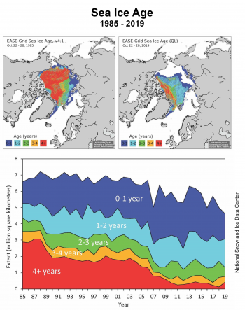 Figure 5. Sea ice age for October 22 to 28 for 1985 (top left) and 2019 (top right), and timeseries of ages for that week from 1985 to 2019 (bottom) from NSIDC’s EASE-Grid Sea Ice Age, Version 4. ||Credit: National Snow and Ice Data Center | High-resolution image 