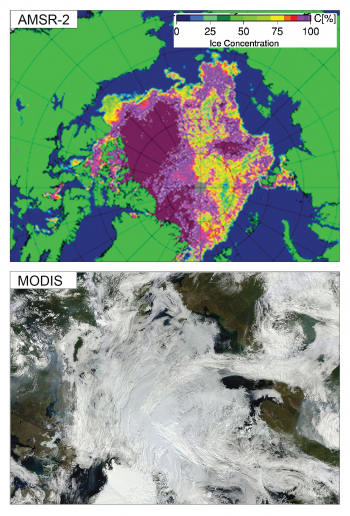 Figure 3. This composite shows an AMSR-2 sea ice concentration map (top) and a MODIS true-color composite image (bottom) of the Arctic for August 14, 2013. Clouds in the MODIS scene obscure some of the ice edges seen in the AMSR-2 data set.||Credit: University of Bremen/AMSR2; NASA/GSFC, Rapid Response|High-resolution image