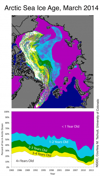 Multi-year ice gain 2014
