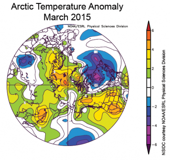 Figure 4. The plot shows Arctic air temperature anomalies at the 925 hPa level in degrees Celsius for March 2015. Yellows and reds indicate higher than average temperatures; blues and purples indicate lower than average temperatures. ||Credit: NSIDC courtesy NOAA Earth System Research Laboratory Physical Sciences Division|  High-resolution image 