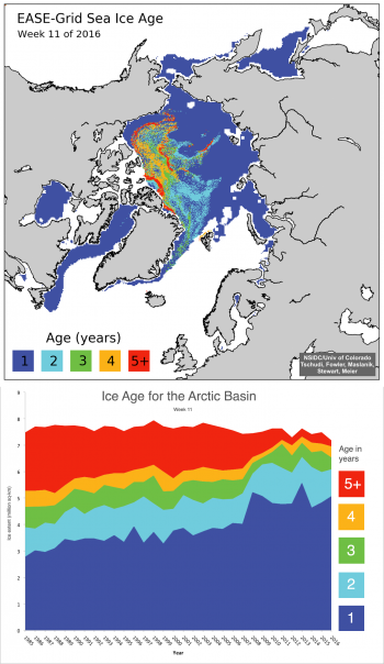 Figure 8. These graphs show Arctic sea ice age from March 4 to 10, 2016. The top graph shows ice age distribution for that week alone and the bottom graph shows ice age distribution for that week from 1985 to 2016.||Credit: NSIDC courtesy University of Colorado Boulder, M. Tschudi, C. Fowler, J. Maslanik, R. Stewart, W. Meier.