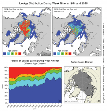 Figure 4a-d. These maps show the ice age distribution during week 9 in 1984 (a) and 2018 (b). The time-series (c) shows total sea ice extent for different age classes as is outlined in the Arctic Ocean Domain (d). Credit: Preliminary analysis courtesy M. Tschudi, University of Colorado Boulder. Images by M. Tschudi, S. Stewart, University of Colorado, Boulder, and W. Meier, J. Stroeve, NSIDC|