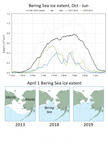 Figure 6b. This figure shows the daily Bering Sea ice extent for October through June 2017 to 2018 and 2018 to 2019 compared to average. This figure is based on NSIDC Sea Ice Index data (top). It also shows a Bering Sea ice extent map for April 1 of 2013, 2018, and 2019, the date of the average maximum extent for the region, from MASIE (bottom). ||Credit: National Snow and Ice Data Center|High-resolution image