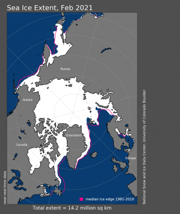 Figure 1. Arctic sea ice extent for February 2021 was 14.24 million square kilometers (5.50 million square miles). The magenta line shows the 1981 to 2010 average extent for that month. Sea Ice Index data. About the data||Credit: National Snow and Ice Data Center|High-resolution image