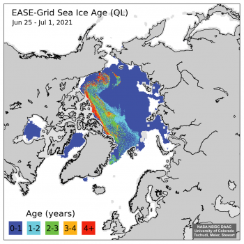 Figure 4a. This map shows the age of sea ice for the June 25 to July 1 period in the Arctic. Credit: M. Tschudi, W. Meier, and Stewart, NASA NSIDC DAAC|High-resolution image 