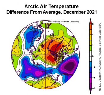Figure 2b. This plot shows the departure from average air temperature in the Arctic at the 925 hPa level, in degrees Celsius, for December 2021. Yellows and reds indicate higher than average temperatures; blues and purples indicate lower than average temperatures.||Credit: NSIDC courtesy NOAA Earth System Research Laboratory Physical Sciences Laboratory |High-resolution image