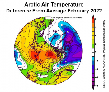 Figure 2a. This plot shows the departure from average air temperature in the Arctic at the 925 hPa level, in degrees Celsius, for February 2022. Yellows and reds indicate higher than average temperatures; blues and purples indicate lower than average temperatures.||Credit: NSIDC courtesy NOAA Earth System Research Laboratory Physical Sciences Laboratory|High-resolution image