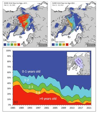 Figure 4. This map shows the age of Arctic sea ice for the March 12 to 18 period in (a) 1985 and (b) 2022. The oldest ice, greater than 4 years old, is in red. Plot (c) shows the timeseries from 1985 through 2022 of percent cover of the Arctic Ocean domain (inset, purple region) by different sea ice ages during the March 12 to 18 period. ||Credit: M. Tschudi, W. Meier, and Stewart, NASA NSIDC DAAC| High-resolution image 