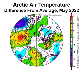 Figure 2b. This plot shows the departure from average air temperature in the Arctic at the 925 hPa level, in degrees Celsius, for May 2022. Yellows and reds indicate higher than average temperatures; blues and purples indicate lower than average temperatures. || Credit: NSIDC courtesy NOAA Earth System Research Laboratory Physical Sciences Laboratory|High-resolution image