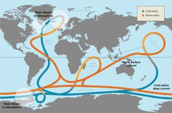 Map of ocean circulation