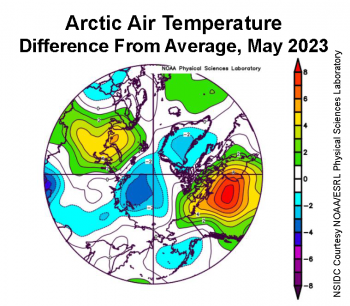 Figure 2a. This plot shows the departure from average air temperature in the Arctic at the 925 hPa level, in degrees Celsius, for May 2023. Yellows and reds indicate higher than average temperatures; blues and purples indicate lower than average temperatures. ||Credit: NSIDC courtesy NOAA Earth System Research Laboratory Physical Sciences Laboratory|High-resolution image