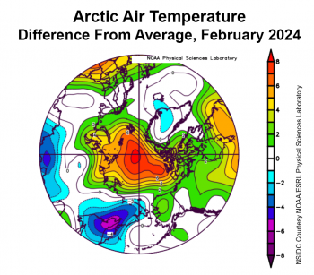 Figure 2a. This plot shows the departure from average air temperature in the Arctic at the 925 hPa level, in degrees Celsius, for February 2024. Yellows and reds indicate above average temperatures; blues and purples indicate below average temperatures.||Credit: NSIDC courtesy NOAA Earth System Research Laboratory Physical Sciences Laboratory| High-resolution image 