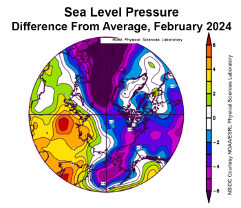 Figure 2b. This plot shows the departure from average sea level pressure in the Arctic in millibars for February 2024. Yellows and reds indicate above average air pressures; blues and purples indicate below average air pressures.||Credit: NSIDC courtesy NOAA Earth System Research Laboratory Physical Sciences Laboratory| High-resolution image 