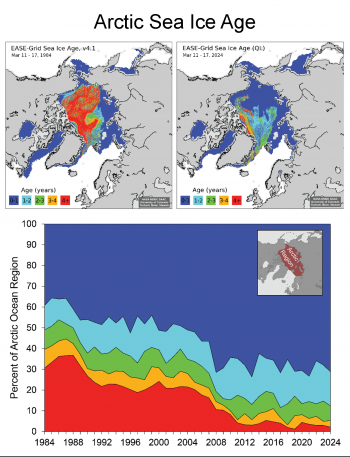 arctic sea ice age maps and graphs