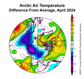 Figure 2a. This plot shows the departure from average air temperature in the Arctic at the 925 hPa level, in degrees Celsius, for April 2024. Yellows and reds indicate above average temperatures; blues and purples indicate below average temperatures.||Credit: NSIDC courtesy NOAA Earth System Research Laboratory Physical Sciences Laboratory| High-resolution image 