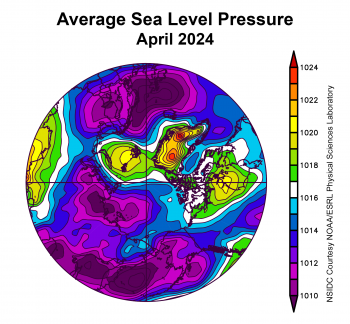 Figure 2b. This plot shows the average sea level pressure in the Arctic in millibars for April 2024. Yellows and reds indicate above average air pressures; blues and purples indicate below average air pressures.||Credit: NSIDC courtesy NOAA Earth System Research Laboratory Physical Sciences Laboratory| High-resolution image 