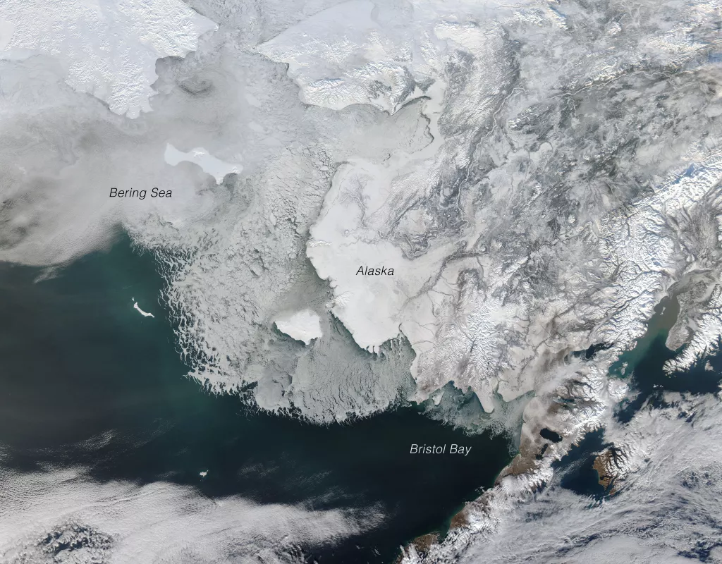 The Moderate Resolution Imaging Spectroradiometer (MODIS) on NASA’s Aqua satellite captured this natural-color image on January 15, 2015. Pristine snow blankets the mountains and plains, and tendrils of sea ice fill Bristol Bay. Credit: NASA/Jeff Schmaltz
