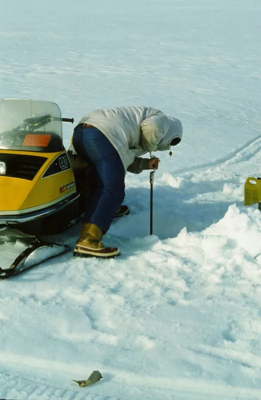 Photograph of researcher conducting field work on St. Patrick Bay ice cap