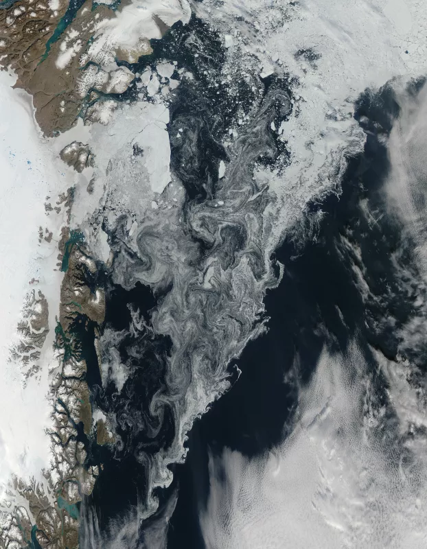MODIS satellite image showing sea ice off the coast of Greenland