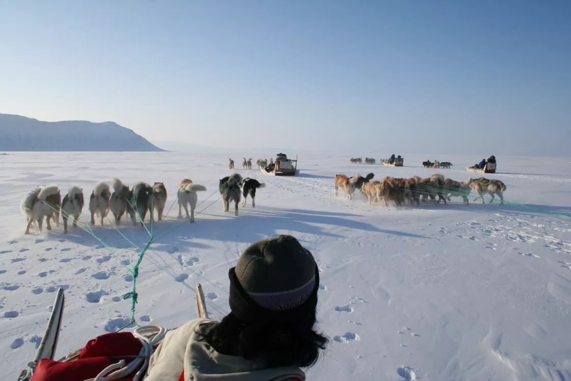 Research team on dog sleds