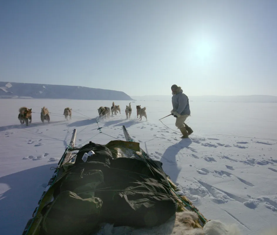 A seal hunter prepares to jump back on his the sled in Qanaaq, Greenland. ADACIS data includes local traditional knowledge shared by Arctic residents and indigenous people. Cedit: Andy Mahoney, NSIDC