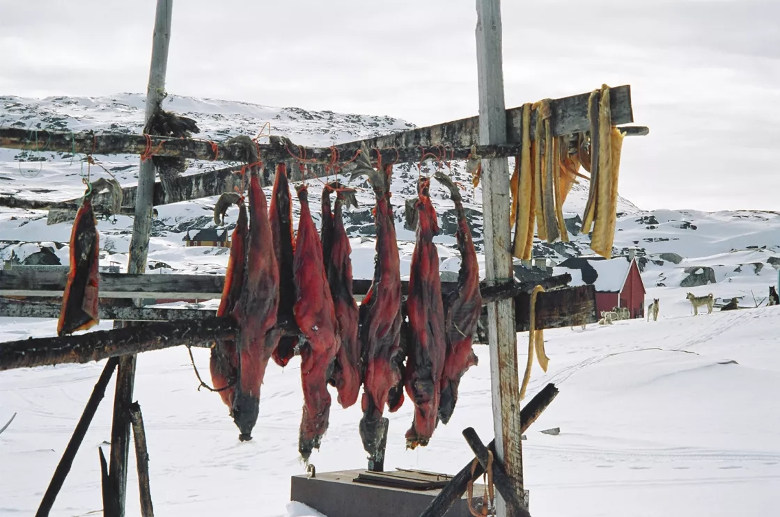 Seal meat hanging