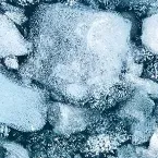 Photo of sea ice Photo of sea ice