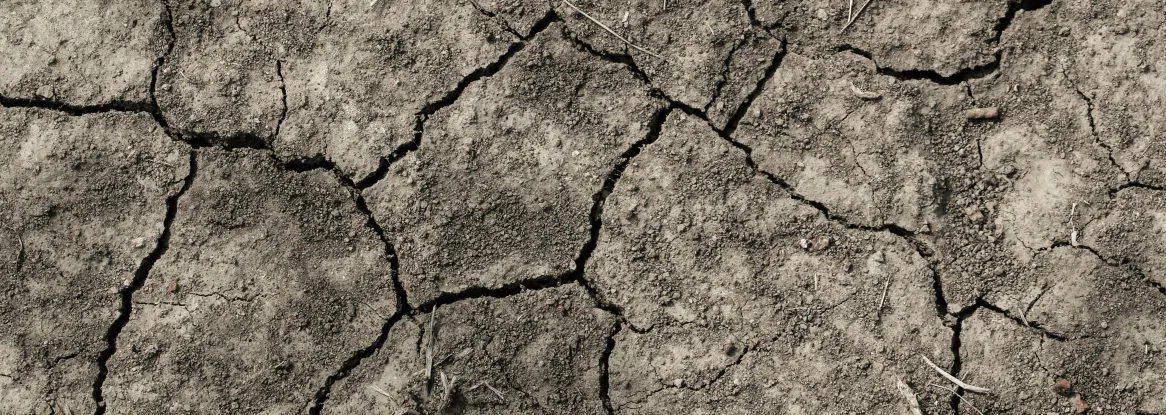 cracked, dehydrated soil cracked, dehydrated soil