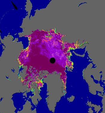 Still thumbnail of arctic sea ice concentration in false-color