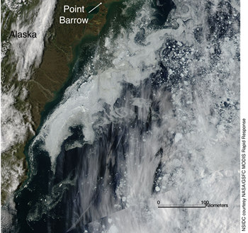 figure 4: ice concentration