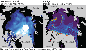figure 4: melt onset map of Arctic