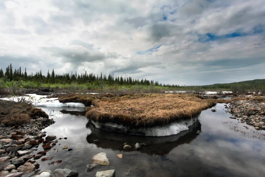Photo of permafrost in Alaska