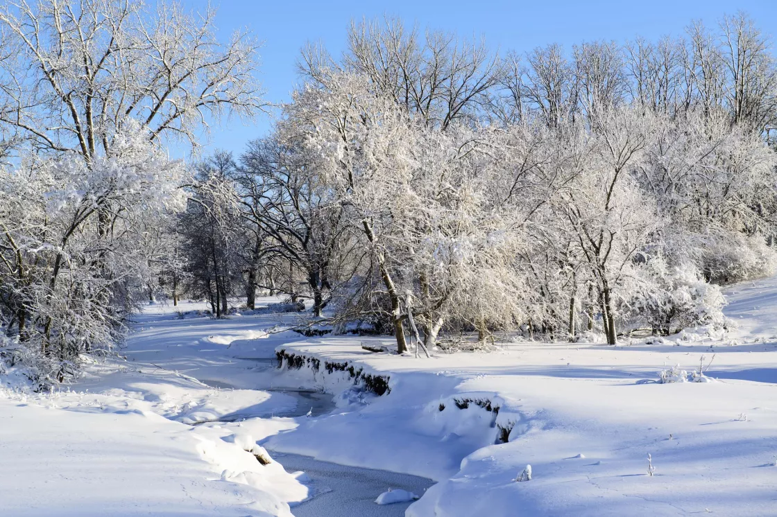 Snowy landscape in bright sun in Iowa