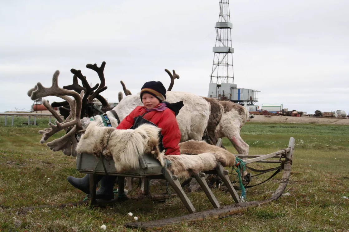 Young Nenets boy on reindeer sledge in Northwest Russia.