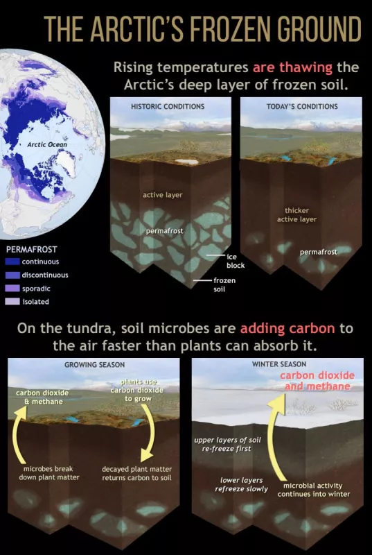 Permafrost thaw infographic
