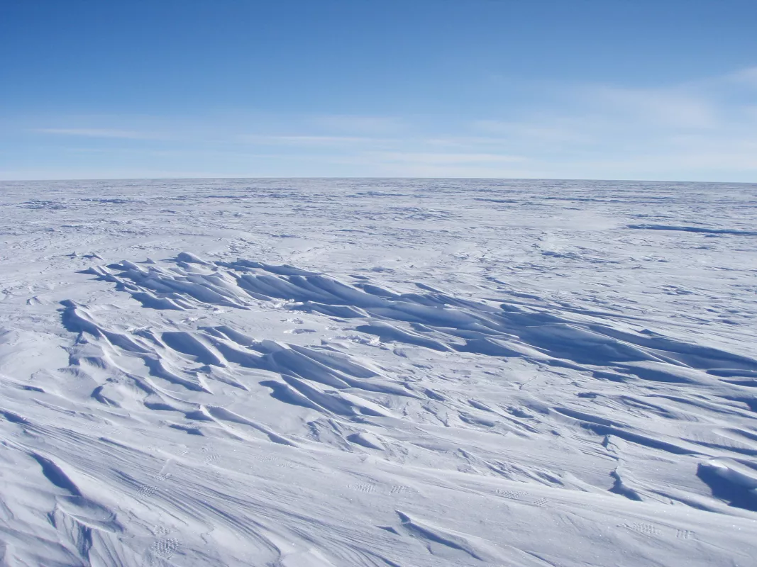 Sastrugi stick out from the snow surface in this photo near Plateau Station in East Antarctica. Most of Antartica looks quite flat, despite the subtle domes, hills, and hollows. —Credit: Atsuhiro Muto|||High-resolution image