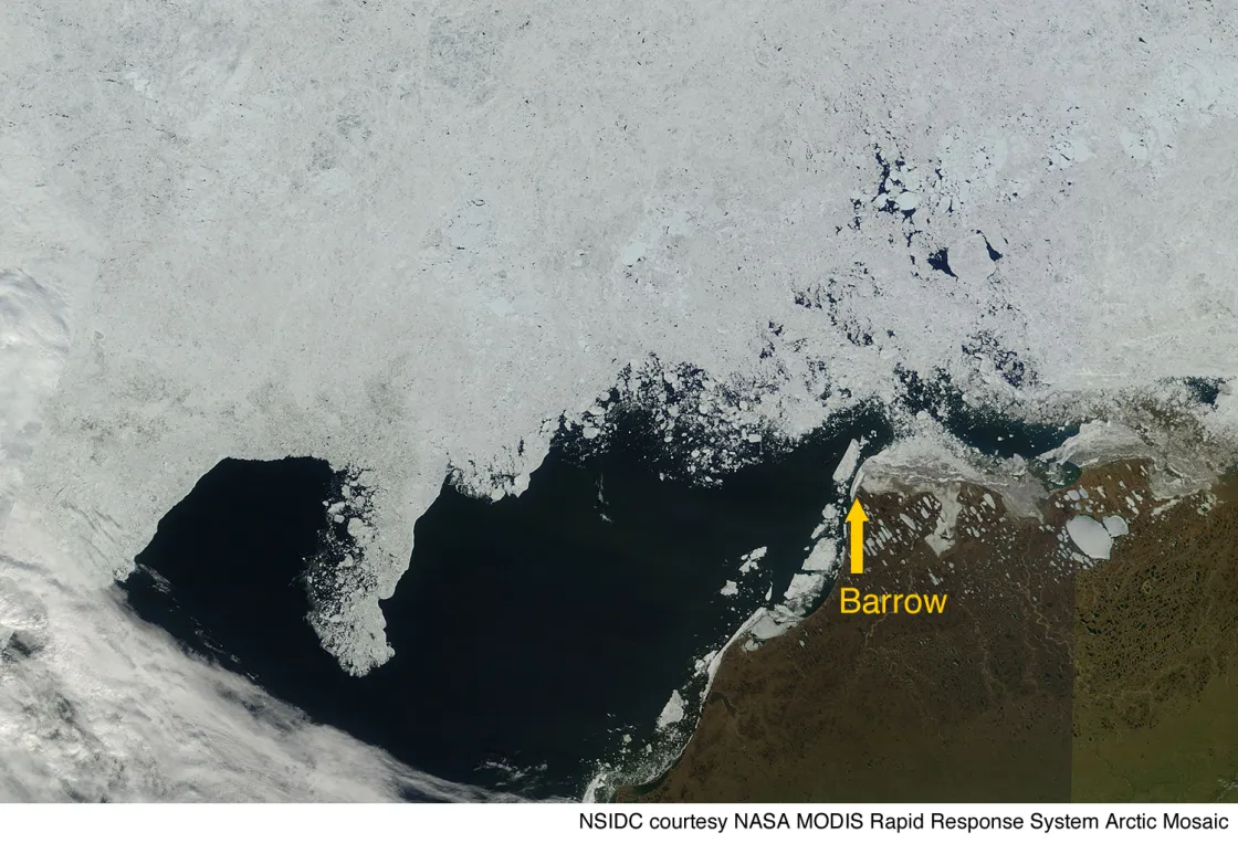 This MODIS image from June 28 shows ice in the Beaufort Sea region off the coast of Barrow, breaking up into smaller floes and open water. But while open water is apparent, a layer of ice still clings to the coastline.