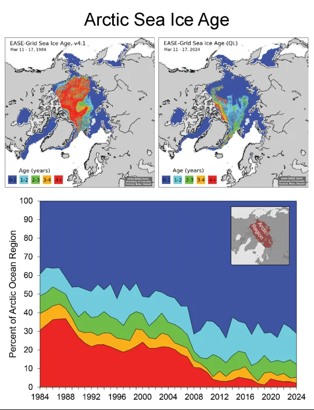 The top maps show sea ice age for the week of March 11 to March 17 for (a) 1984 and (b) 2024. The bottom graph is a timeseries of the percent of the sea ice extent within the Arctic Ocean domain (inset map) for the same time period from 1984 through 2024