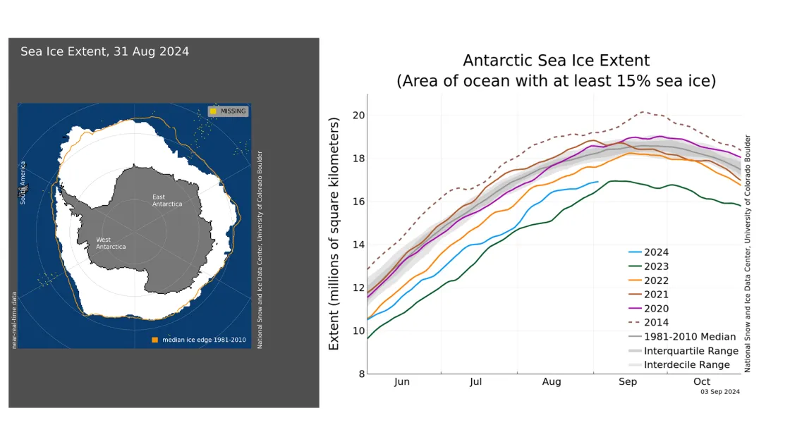 Figure 4a and 4b. The map on the left shows Antarctic sea ice extent for August 31, 2024, which was 16.86 million square kilometers (6.51 million square miles). The orange line shows the 1981 to 2010 average extent for that day. The graph on the right shows Antarctic sea ice extent as of September 3, 2024, along with daily ice extent data for four previous years and the record low year. 2024 is shown in blue, 2023 in green, 2022 in orange, 2021 in brown, 2020 in magenta, and 2012 in dashed brown. The 1981 t