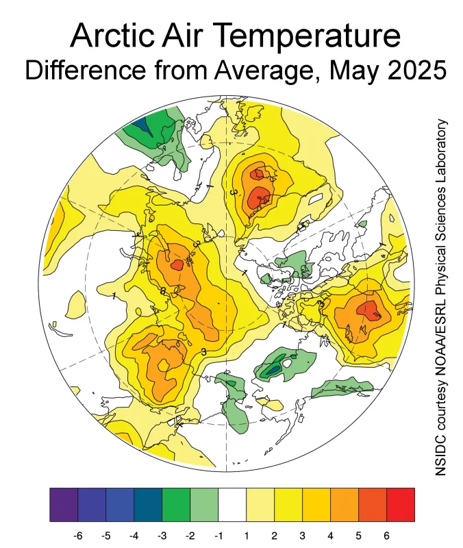 Arctic Air Temperature May 2025 as difference from average